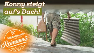 Viel zu TUN auf Hawaii! Konnys waghalsige Reparaturarbeiten in der KNEIPE