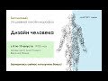 Дизайн человека. Как начать эксперимент. Вероника Юрина и Анна Ролева