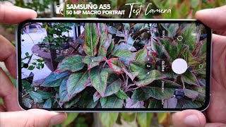 Samsung Galaxy A55 test Camera full features