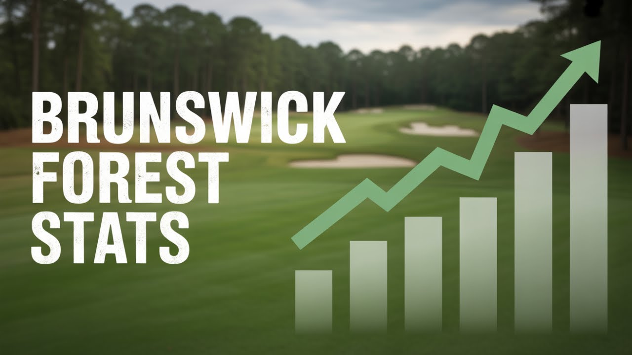 Обзор рынка лесной продукции Брансуика на 2025 год