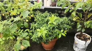 Rain Sounds For Sleeping, Goodbye Insomnia and Stress screenshot 4