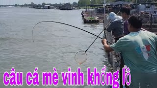 Xem Là Mê Câu Là Ghiền Cảnh Câu Cá Mè Vinh Khổng Lồ Mồi Ngò Rí # SĂN BẮT ĐỒNG THÁP #