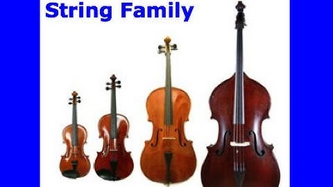 The Story of the String Family