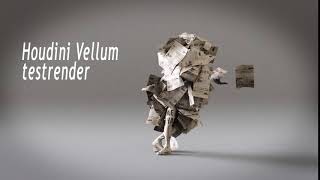 Houdini vellum test