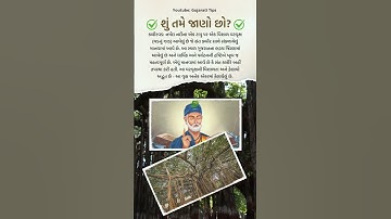 કબીરવડ | Kabirvad