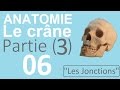 Anatomie 06  le crne partie 3  les jonctions