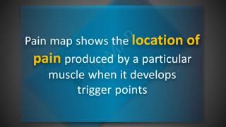 TRIGGER POINTS - PAIN MAP