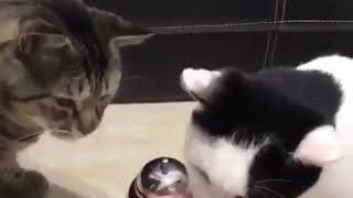 VID 20160926 WA0001