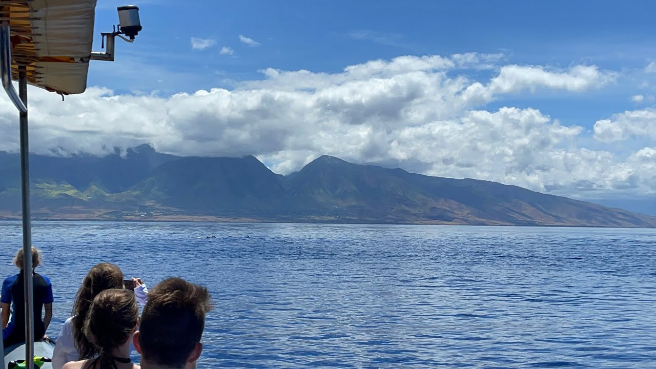 West Maui Snorkel and Dolphin Adventure on a Zodiac Boat