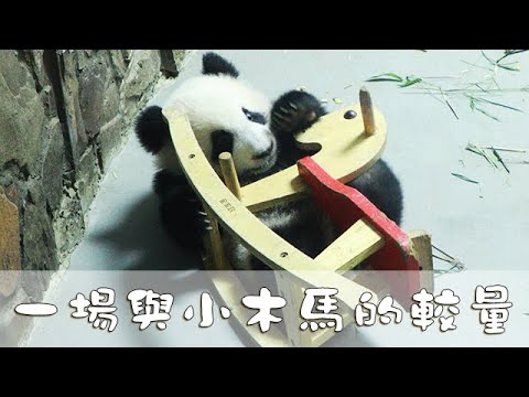 《熊貓早晚安》一場與小木馬的較量 | iPanda熊貓頻道