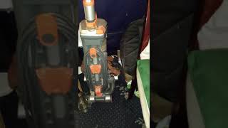 Caturday Saturday Chief Vacuum Inspector Poppy Doing A Thorough Check Under Couch And Of Vax Air 3