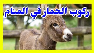 تفسير حلم ركوب الحمار في المنام|إبن سيرين