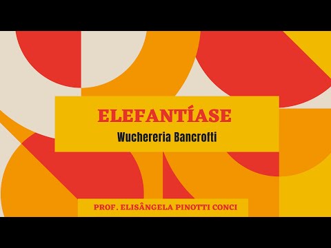 Elefantíase - Wuchereria bancrofti