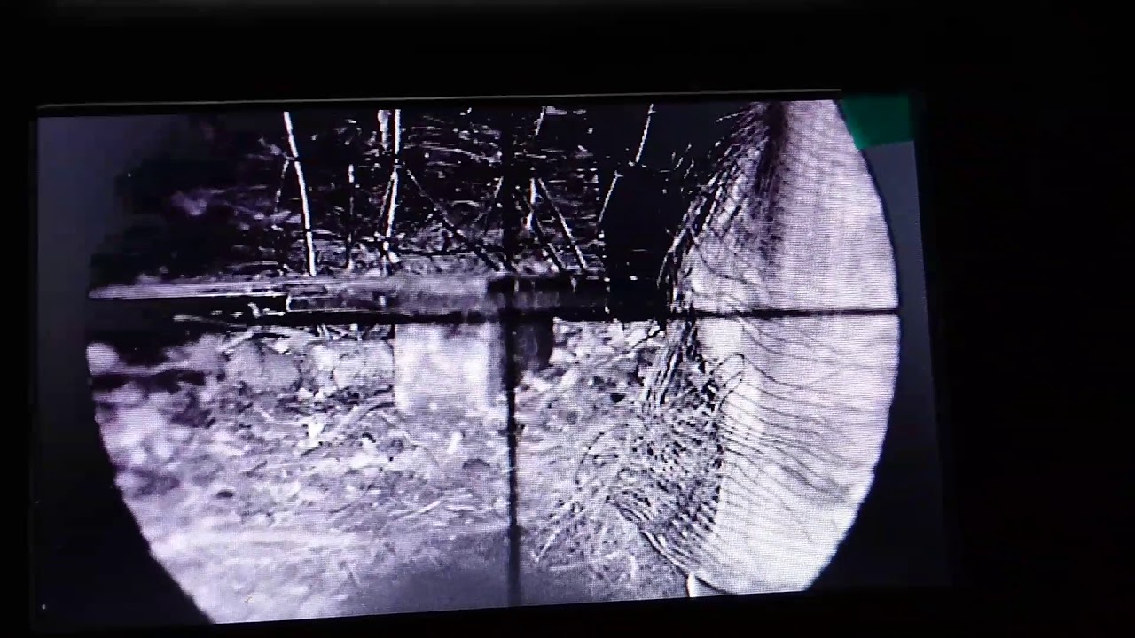 Bestsight Night Vision Scope Kit Test Rat Hunting 2 Second