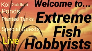 Extreme Fish Hobbyists