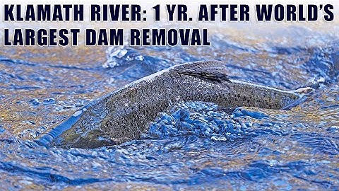 Klamath River: One Year After World