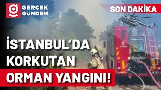 İstanbulda Yangın Yerleşim Yerlerine Yaklaşıyor Aydosta Korkutan Orman Yangını Resimi