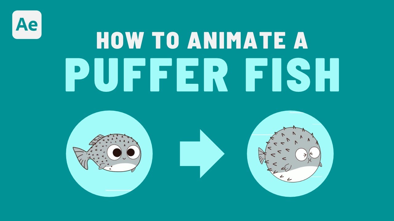 Puffer Fish Animation After Effects Tutorial 53 YouTube