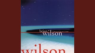 Vignette de la vidéo "Brian Wilson - She Says That She Needs Me"