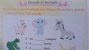 English Workbook Class 4 Spring 🌼  Chapter 1 Wake up | Spring class 4 workbook | Sounds Of Animals