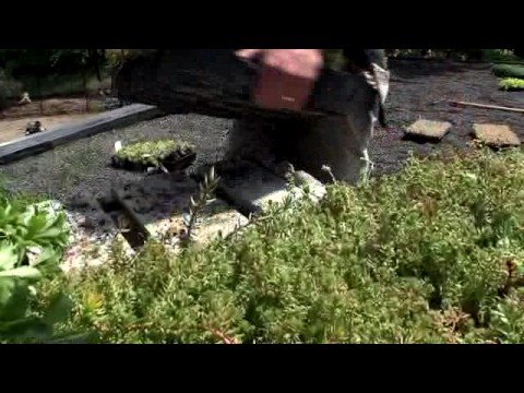 Green Roof Cincinnati Zoo Giraffe Ridge Youtube