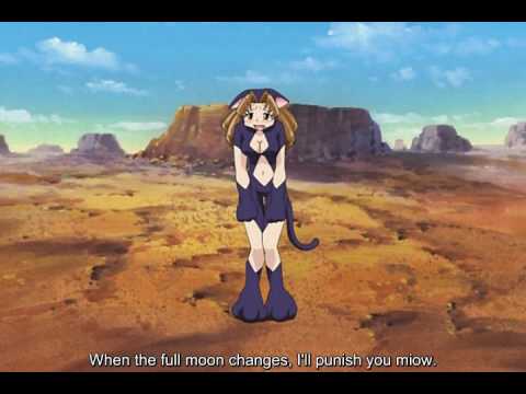 Fine Pointers for Aspiring Cat Girls- brought to you by KOI KOI 7