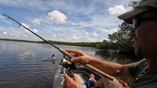 I'd Forgotten How Much Fun Topwater Is by zoffinger 5,273 views 2 weeks ago 9 minutes, 7 seconds