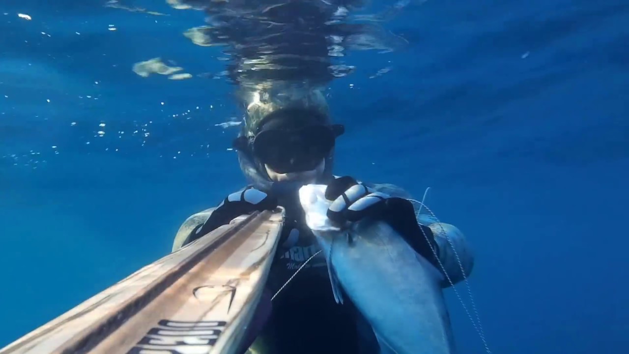 Thorpedo 93 VS  Ricciola