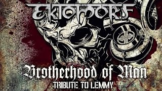 Ektomorf  Brotherhood Of Man 2016     Afm Records