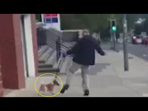 Video: Špatný druh strážneho psa