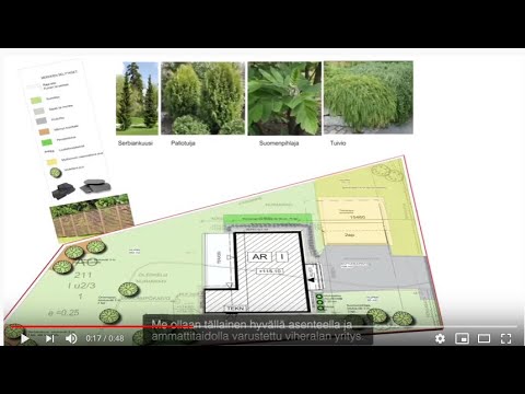Video: Toimiston viherrakentaminen: kasvien suunnittelun säännöt, sopivat kasvit, kasvien ja tyylien yhteensopivuus