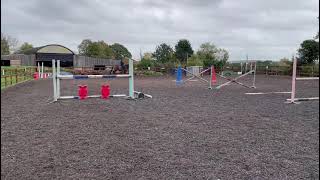 Perfect Juniors Horse / Top Class Allrounder - ad ref: 292331
