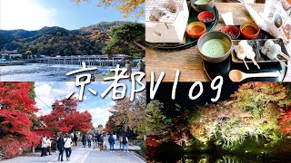 【京都Vlog】紅葉一人旅！2泊3日で遊び尽くす大学院生の京都旅行！