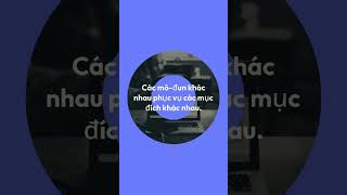Theme Divi – 40 Module Chức Năng Xây Dựng Website Chuyên Nghiệp (Phần 1) 4