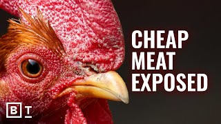 The hidden cost of cheap meat exposed by Peter Singer