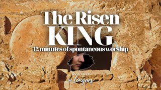 12 MIN OF WORSHIP SPEAKING IN TONGUES + SPONTANEOUS - "THE RISEN KING"