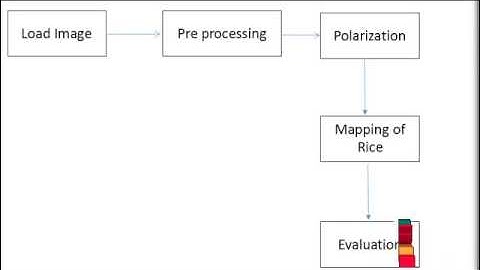 Final Year Projects | Paddy Rice identification using polarimetric SAR data in Southern China