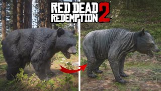 Exploring Red Dead Redemption 2 Details - 2023 Insane Details