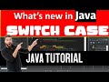 What is new in Java Switch Case  | Java Tutorial by Professor Saad Yousuf