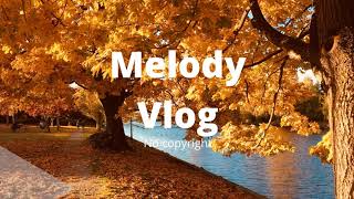 Autumn 2011 - Loxbeats (Melody Vlog No copyright)