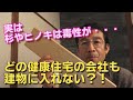 どの健康住宅の会社も建物に入れない？！【杉やヒノキに毒性が・・・】(自然派工務店や化学物質過敏症、アレルギーの方必見）