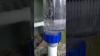 RJ45+ CircuPool Flow
