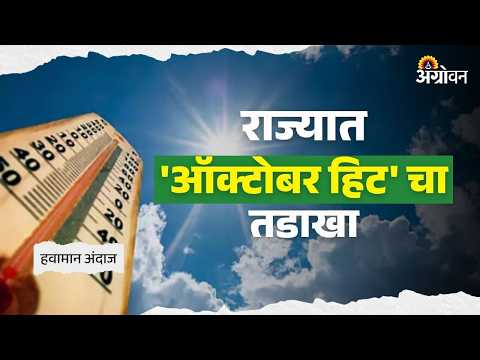 Monsoon Update : कोकणात उष्ण आणि दमट हवामानाचा इशारा | Agrowon