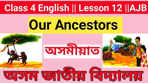 "Our Ancestors" Class 4 English lesson 12 //Assamese Explanation (অসমীয়াত)//Assam Jatiya Bidyalay