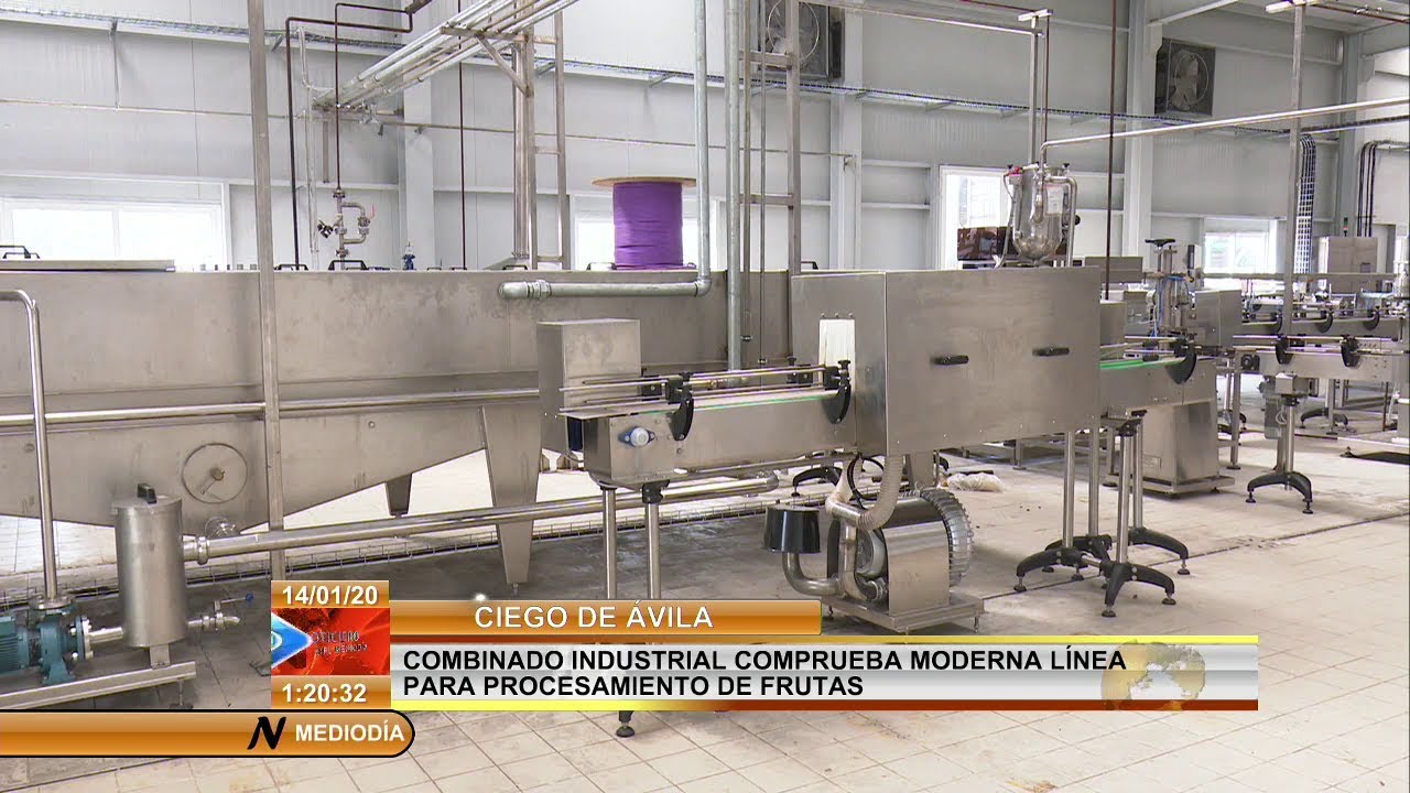 Nueva línea automatizada para el procesamiento de la piña en el ...
