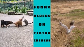 Смешное видео - Самые смешные видео на китайском TikTok 2022 Часть 14