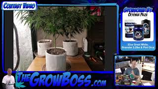 Grow Boss weekly garden reviews E#6