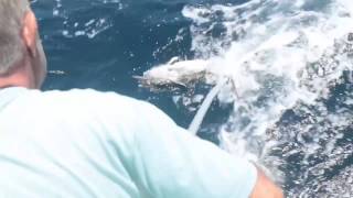 Lagoon 380 Chufa Catamaran - Fishing in the Caribbean Sea