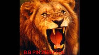 The Lion Pin Code