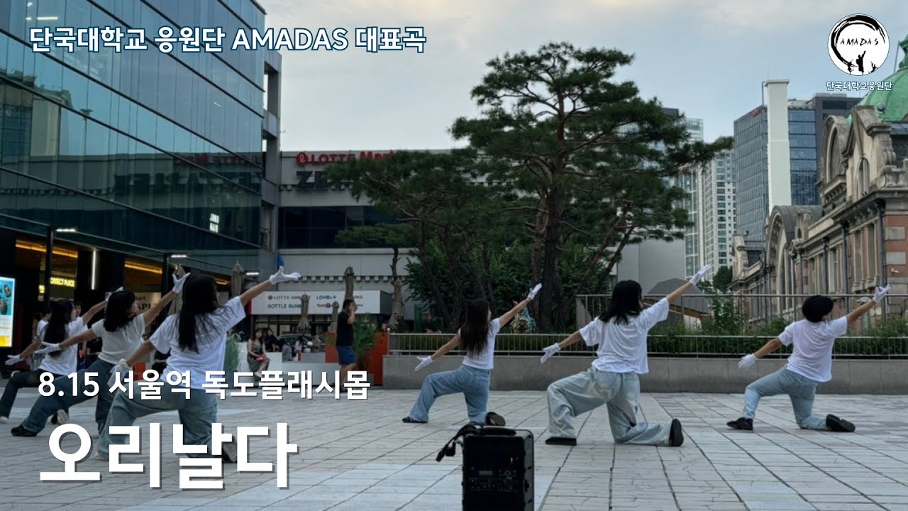 [단국대학교 응원단 아마다스] 240815 대한민국 응원단 연합회 독도플래시몹 '오리날다'
